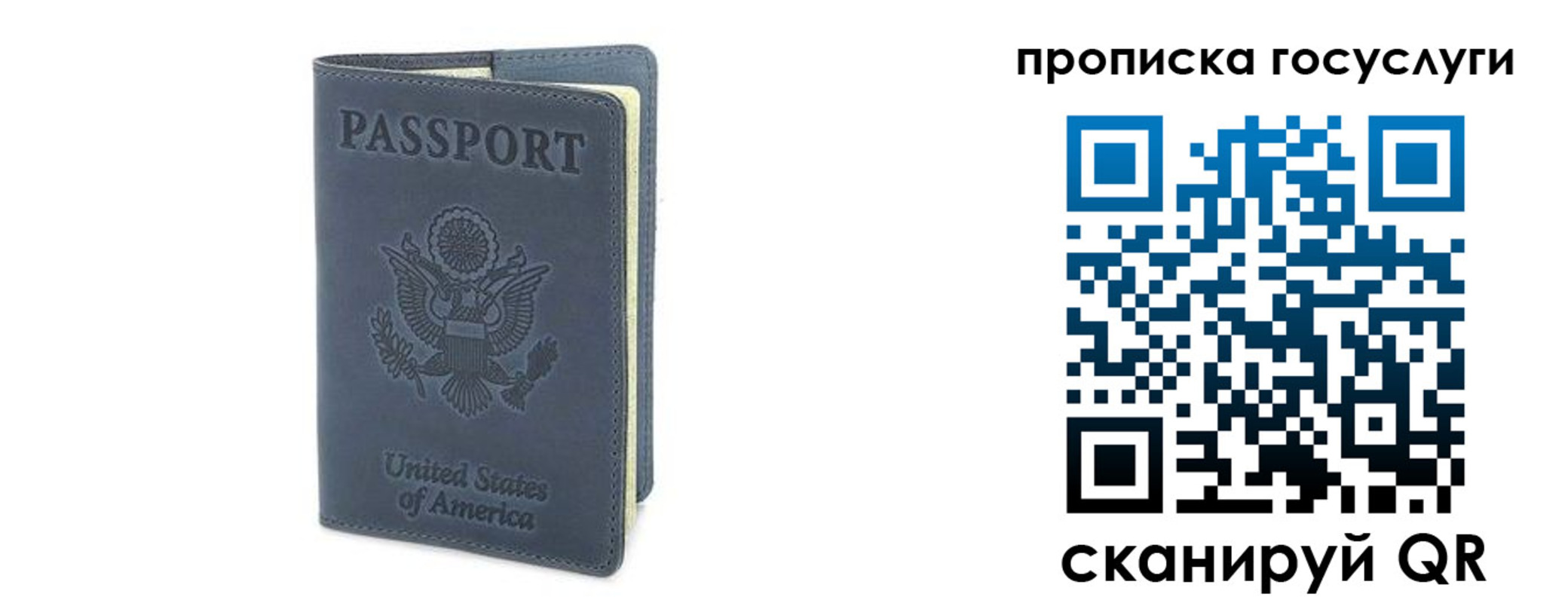прописка 2025 в Коле
